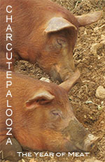 charcutepaloozaSMALL2