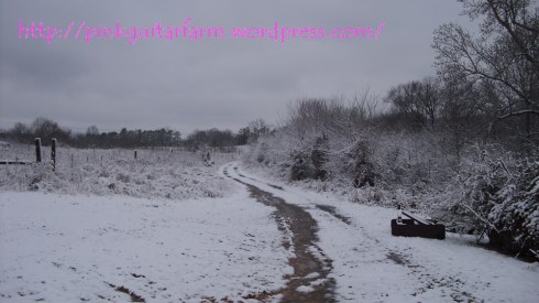 the road to no where or everywhere